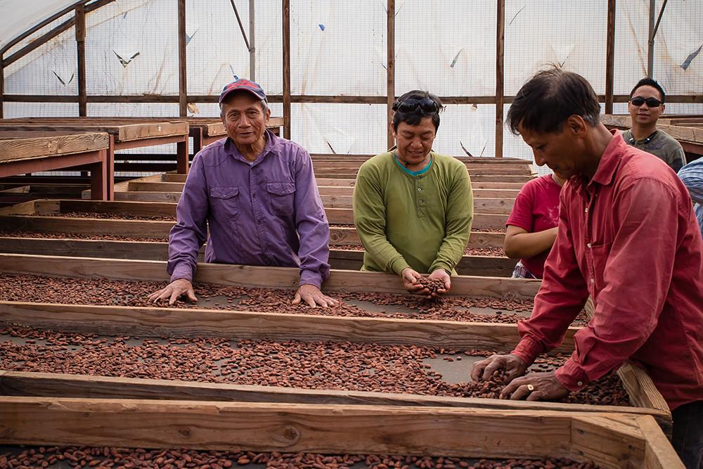 Waialua Estate - Chocolate and Coffee Grown in Hawaii